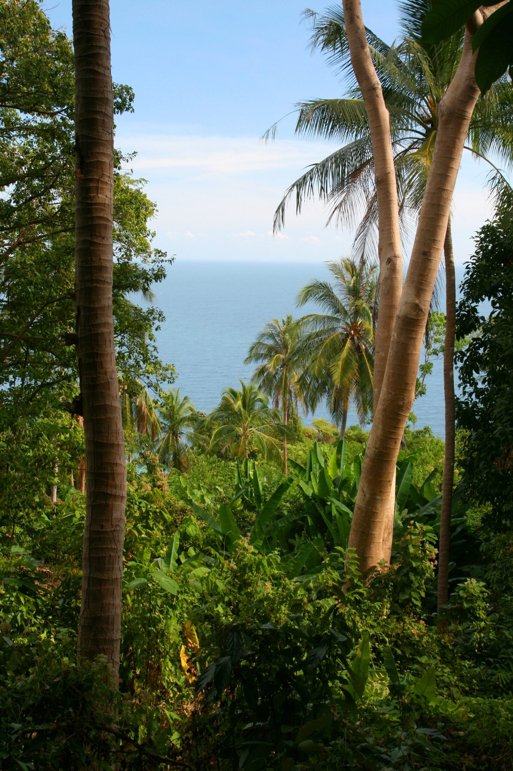 Unveiling the Yucatán Peninsula: Tailor-Made Round Trips